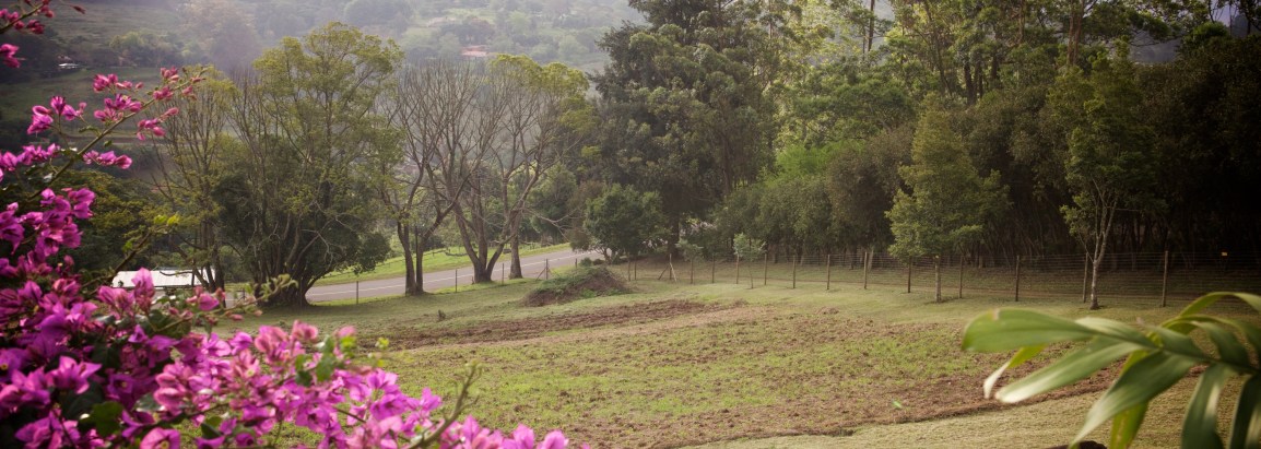 The Gift of Good&nbsp;Land