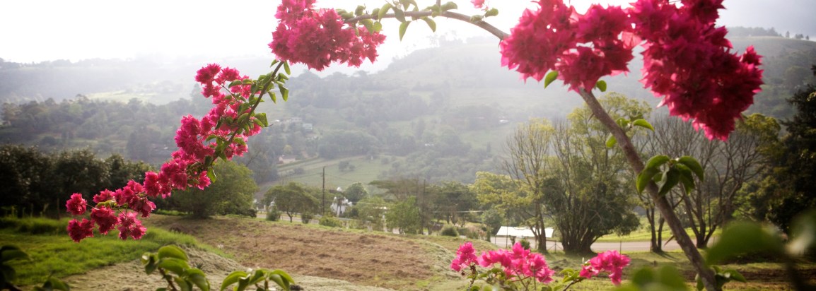 A Tour Of&nbsp;Inundo