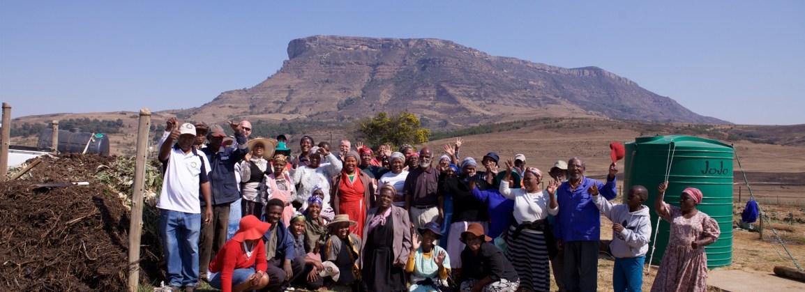 Transformational Catalysts Are Just Like&nbsp;Yeast