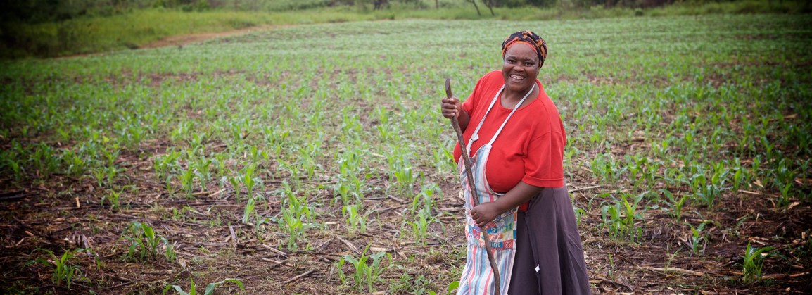 Food Crisis: Are We&nbsp;Prepared?