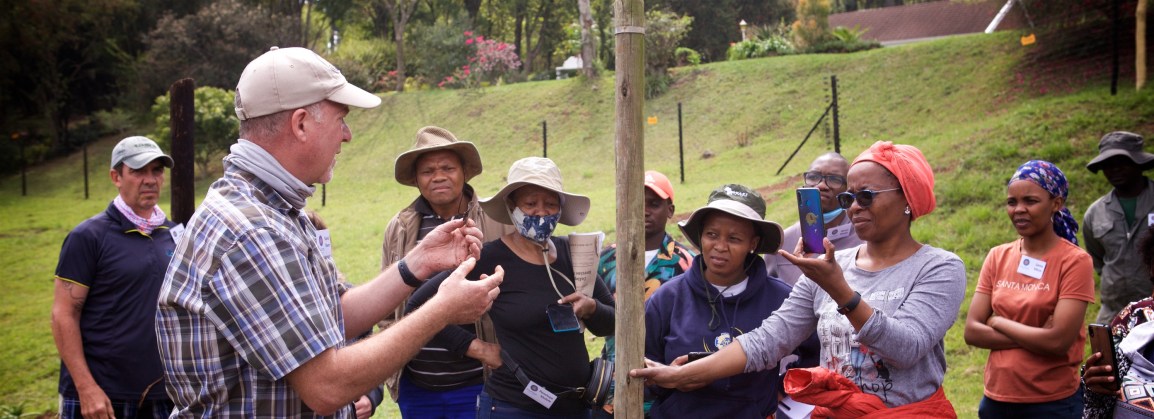 Inundo Spring Training