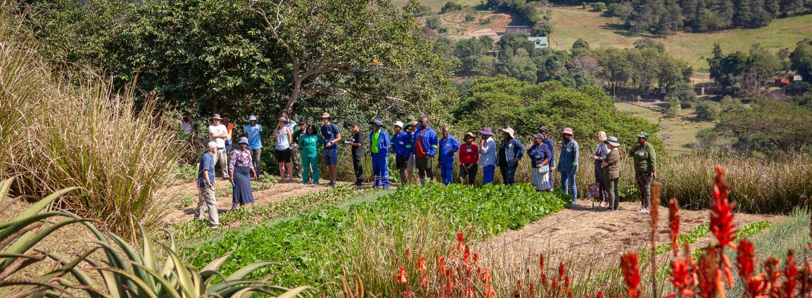 Training People to Overcome Current Agricultural&nbsp;Challenges
